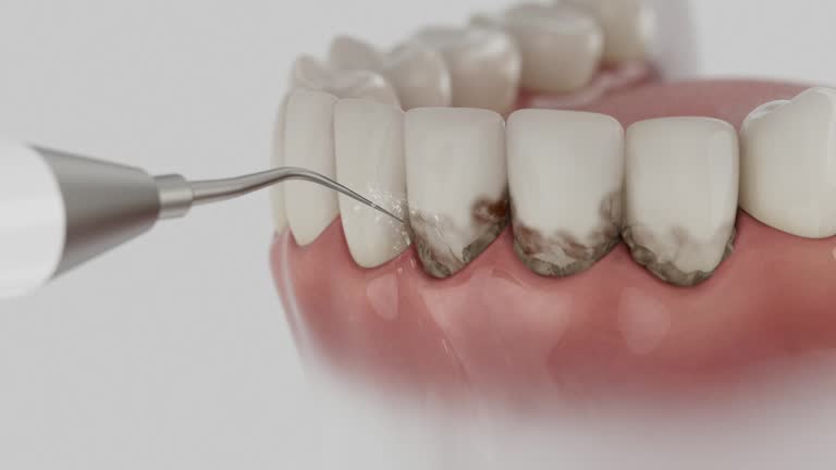Reliable Dental contractor in Mandan, ND by Dentist Open Now